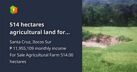 Ilocos Sur lands. Lots for sale in Ilocos Sur .